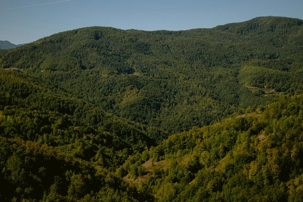 Découvrez les secrets de tinder gratuit pour l'amour