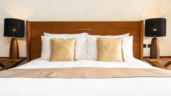 L'importance de faire contrôler votre hôtel pour éviter l'invasion des rats